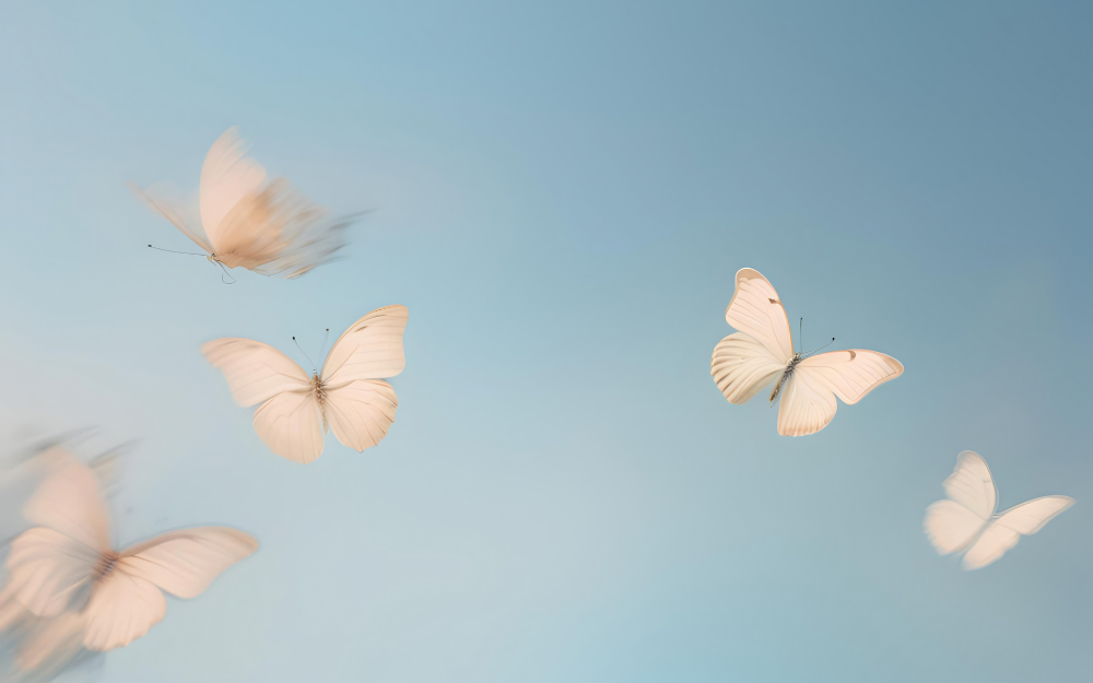 ZEITWELLEN HappySpace 💛