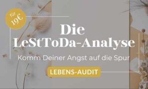 Die LeStToDa-Analyse - Dein Einstieg für weniger Stress mit Leben&Tod