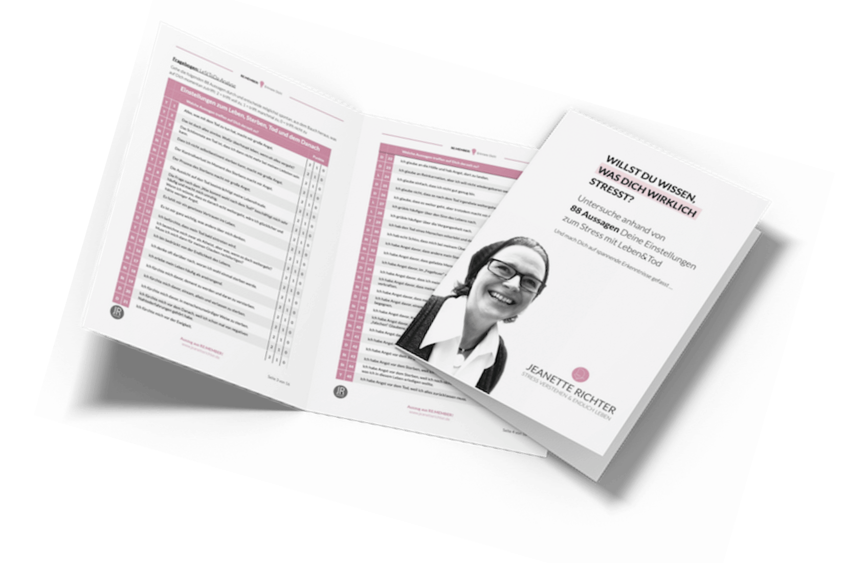 Die LeStToDa-Analyse - Dein Einstieg für weniger Stress mit Leben&Tod – Bild 2